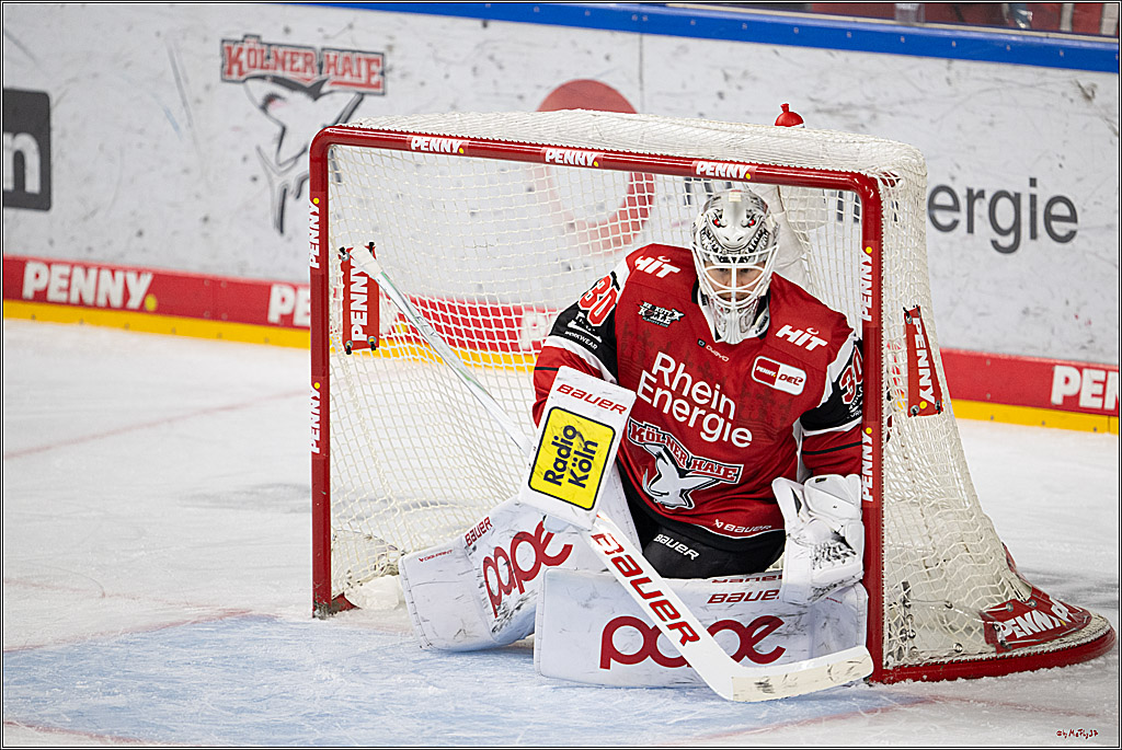 PENNY DEL 1 - Playoff Viertelfinale - Kölner Haie - Schwenninger Wild Wings; Köln, 31.03.2026