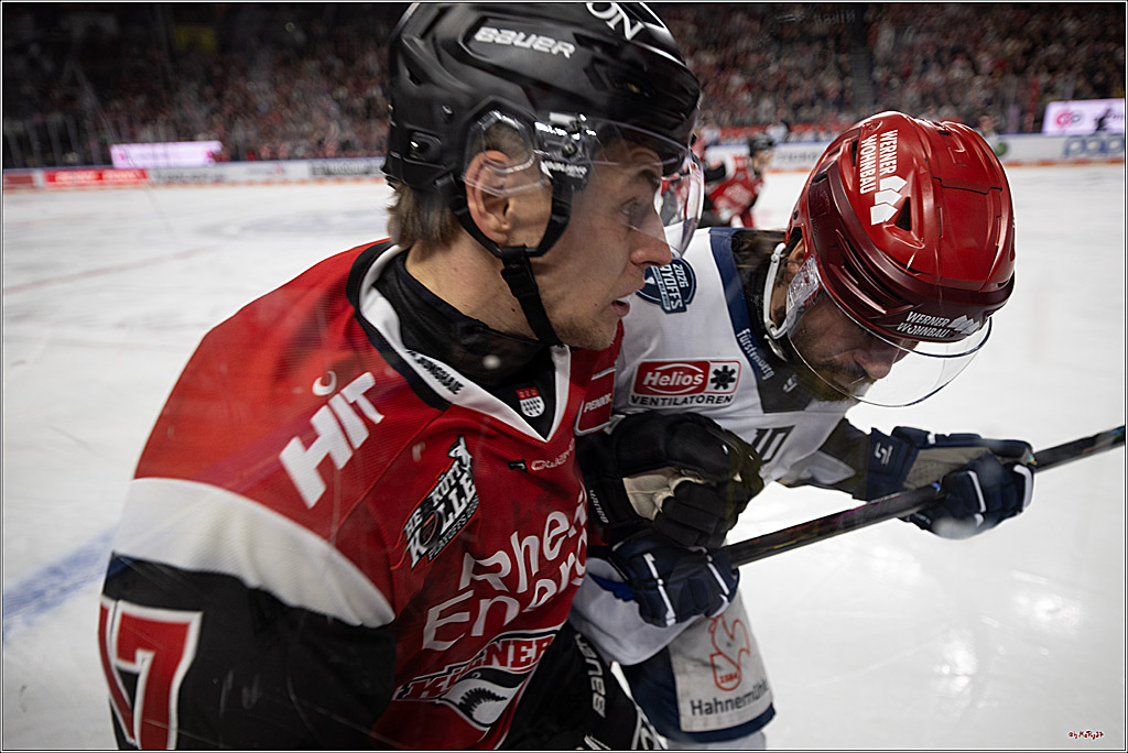 PENNY DEL 1 - Playoff Viertelfinale - Kölner Haie - Schwenninger Wild Wings; Köln, 31.03.2026