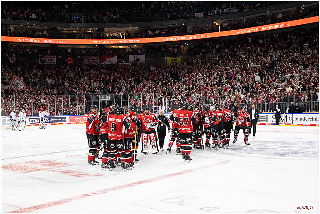PENNY DEL 1 - Playoff Viertelfinale - Kölner Haie - Schwenninger Wild Wings; Köln, 31.03.2026
