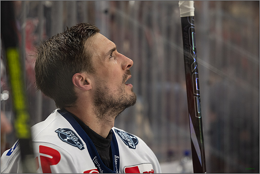 PENNY DEL 1 - Playoff Viertelfinale - Kölner Haie - Schwenninger Wild Wings; Köln, 31.03.2026