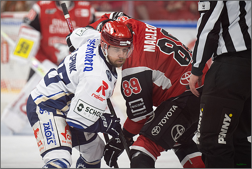 PENNY DEL 1 - Playoff Viertelfinale - Kölner Haie - Schwenninger Wild Wings; Köln, 31.03.2026