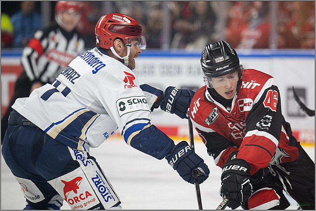 PENNY DEL 1 - Playoff Viertelfinale - Kölner Haie - Schwenninger Wild Wings; Köln, 31.03.2026