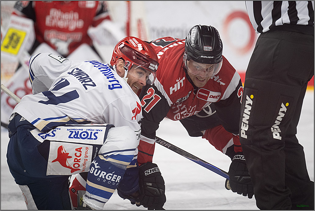 PENNY DEL 1 - Playoff Viertelfinale - Kölner Haie - Schwenninger Wild Wings; Köln, 31.03.2026
