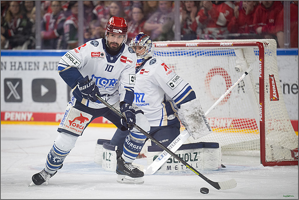PENNY DEL 1 - Playoff Viertelfinale - Kölner Haie - Schwenninger Wild Wings; Köln, 31.03.2026