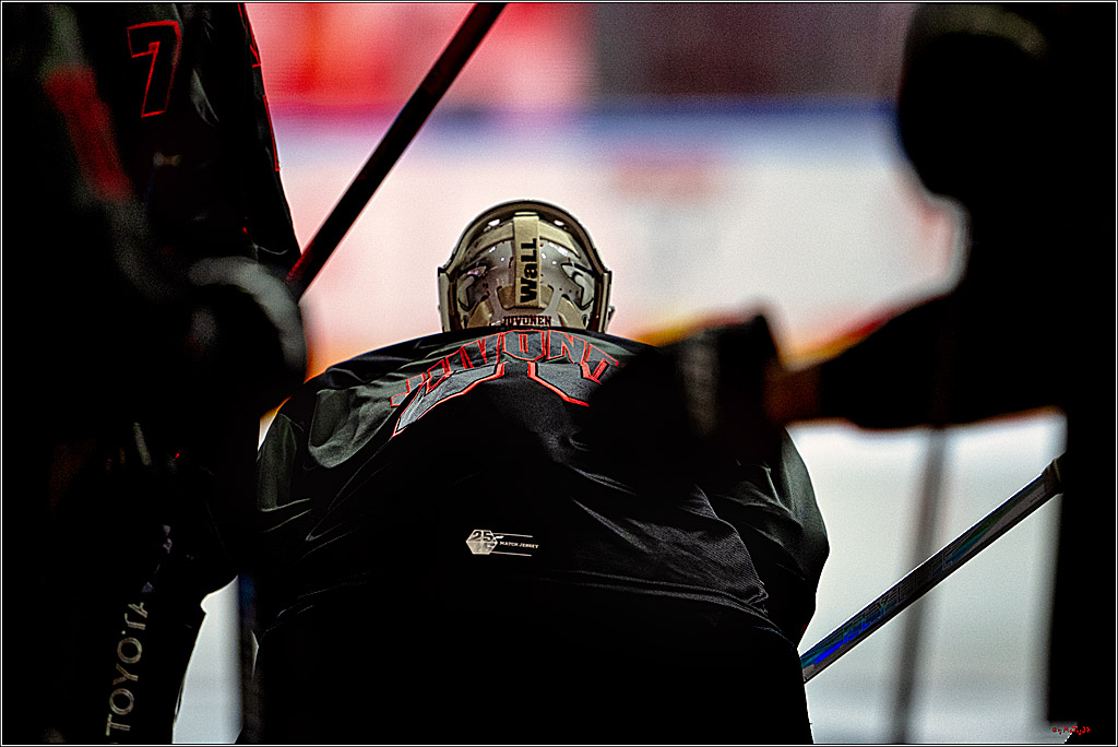 PENNY DEL 1 - Playoff Halbfinale - Kölner Haie - Eisbären Berlin; Köln, 15.04.2026