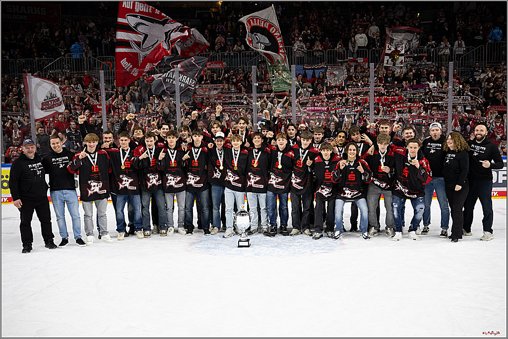PENNY DEL 1 - Playoff Halbfinale - Kölner Haie - Eisbären Berlin; Köln, 15.04.2026