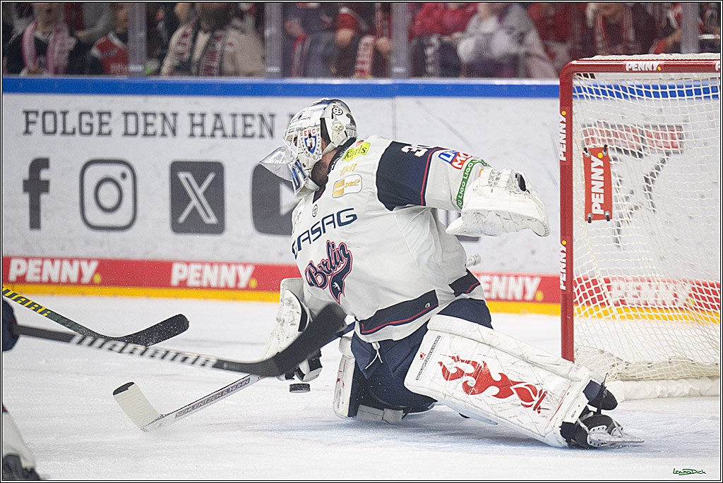 PENNY DEL 1 - Playoff Halbfinale - Kölner Haie - Eisbären Berlin; Köln, 15.04.2026