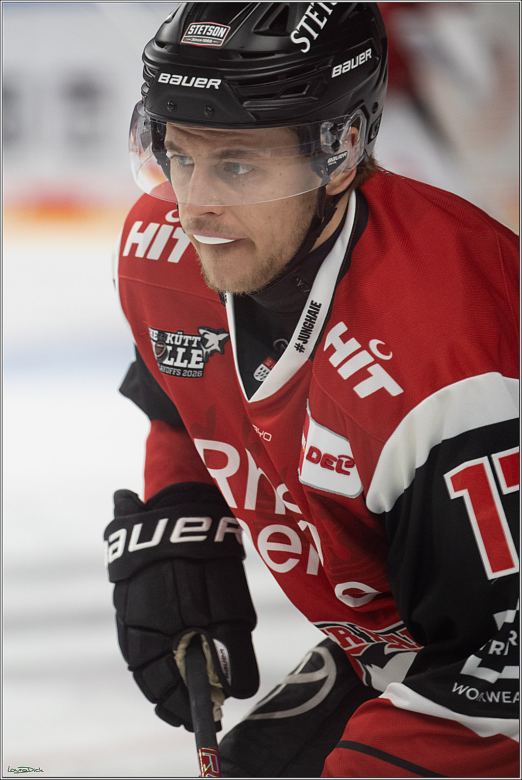 PENNY DEL 1 - Playoff Halbfinale - Kölner Haie - Eisbären Berlin; Köln, 15.04.2026