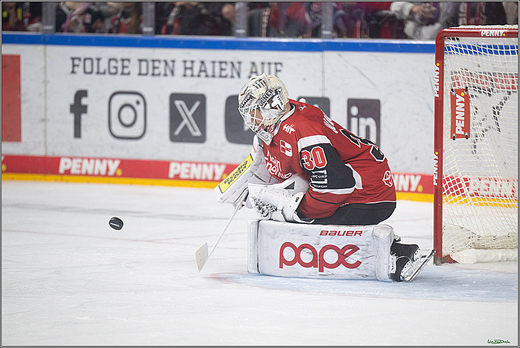 PENNY DEL 1 - Playoff Halbfinale - Kölner Haie - Eisbären Berlin; Köln, 15.04.2026