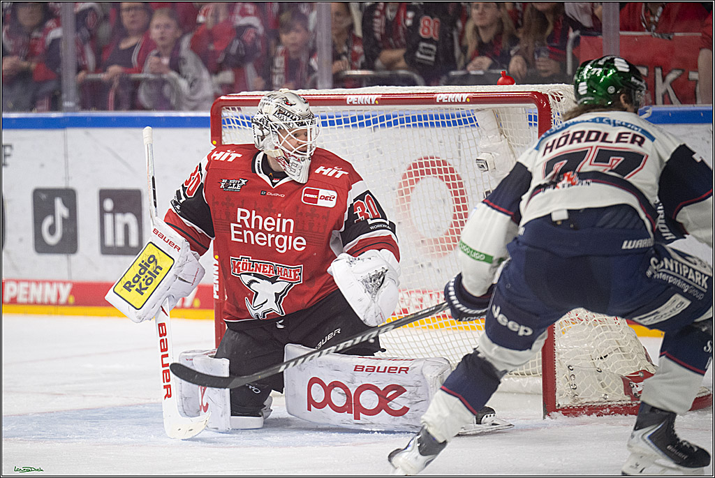 PENNY DEL 1 - Playoff Halbfinale - Kölner Haie - Eisbären Berlin; Köln, 15.04.2026