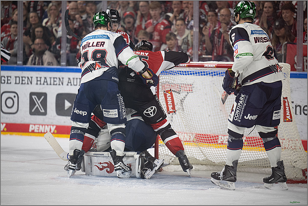 PENNY DEL 1 - Playoff Halbfinale - Kölner Haie - Eisbären Berlin; Köln, 15.04.2026