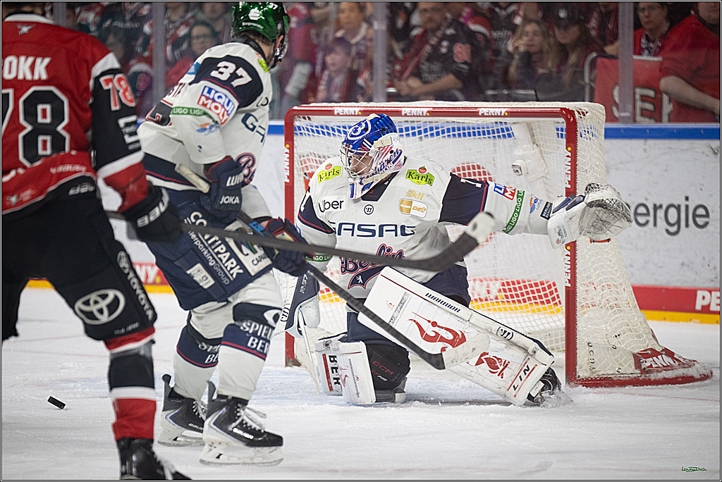 PENNY DEL 1 - Playoff Halbfinale - Kölner Haie - Eisbären Berlin; Köln, 15.04.2026