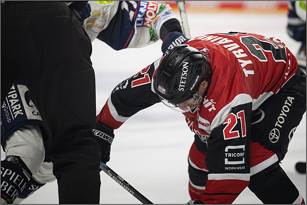 PENNY DEL 1 - Playoff Halbfinale - Kölner Haie - Eisbären Berlin; Köln, 15.04.2026
