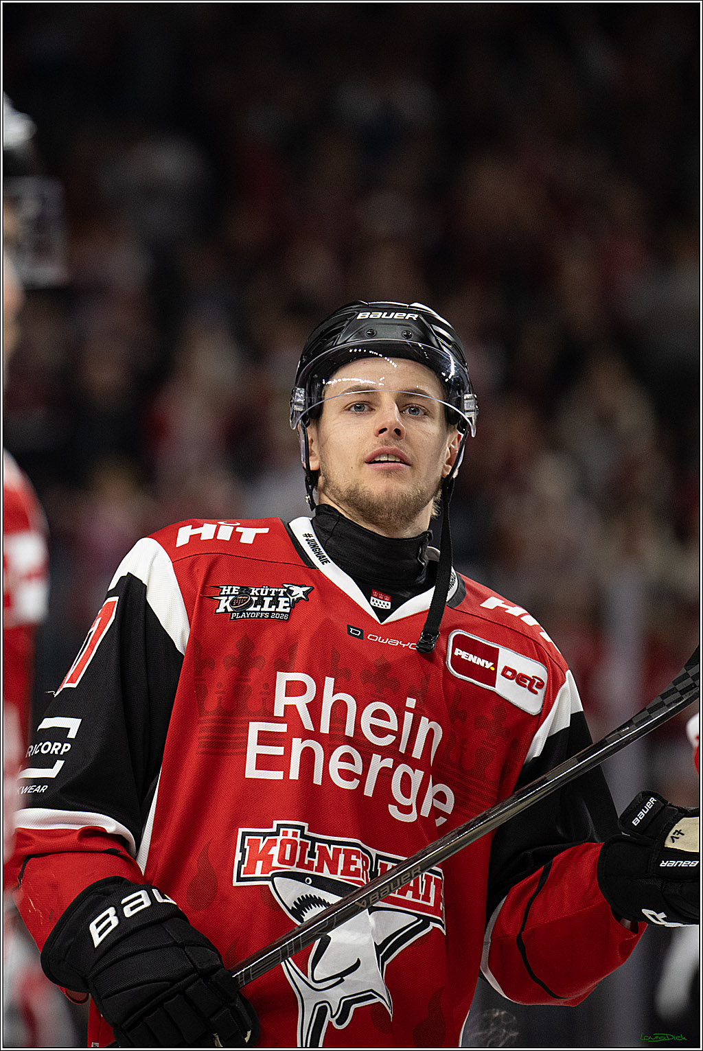 PENNY DEL 1 - Playoff Halbfinale - Kölner Haie - Eisbären Berlin; Köln, 15.04.2026