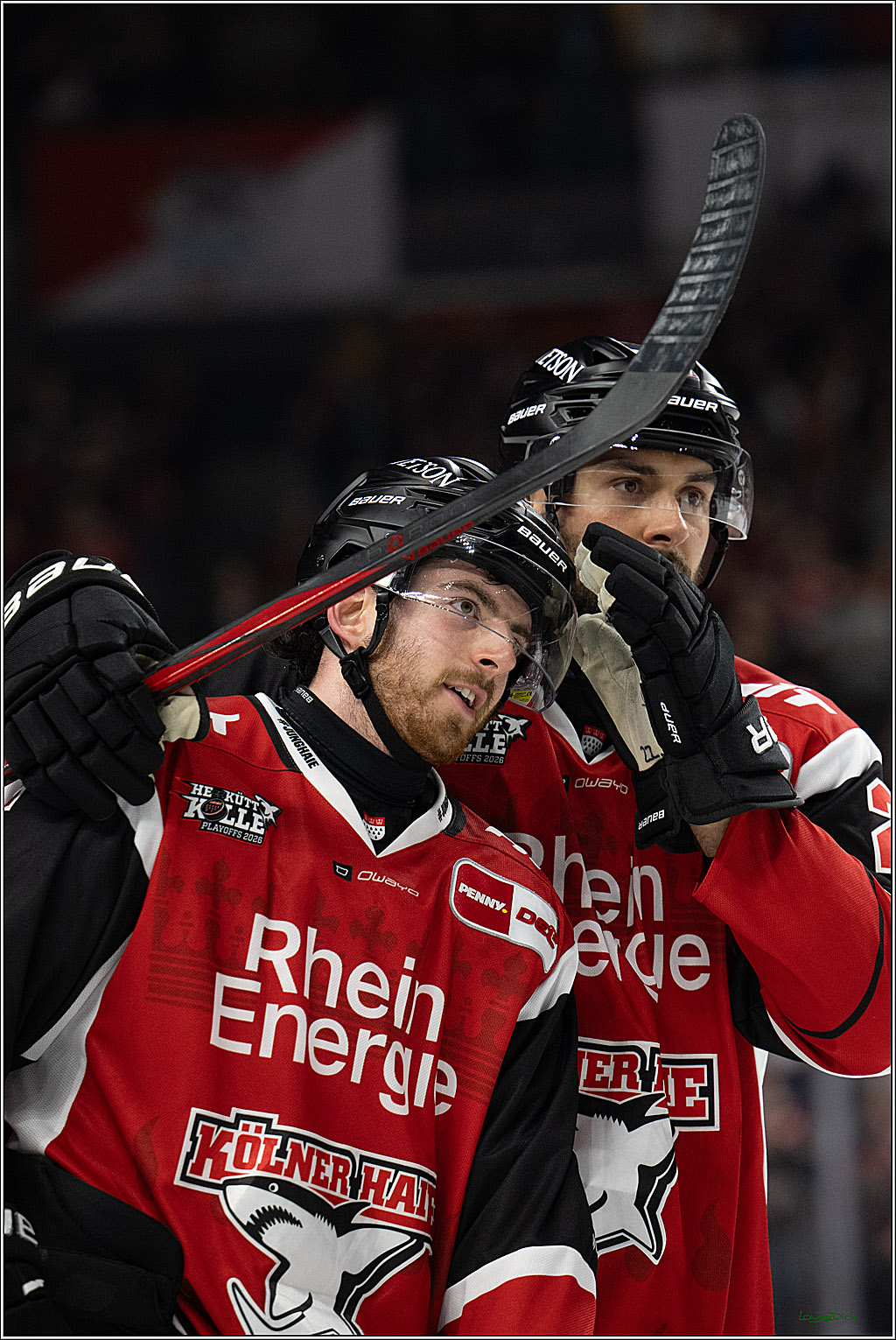 PENNY DEL 1 - Playoff Halbfinale - Kölner Haie - Eisbären Berlin; Köln, 15.04.2026