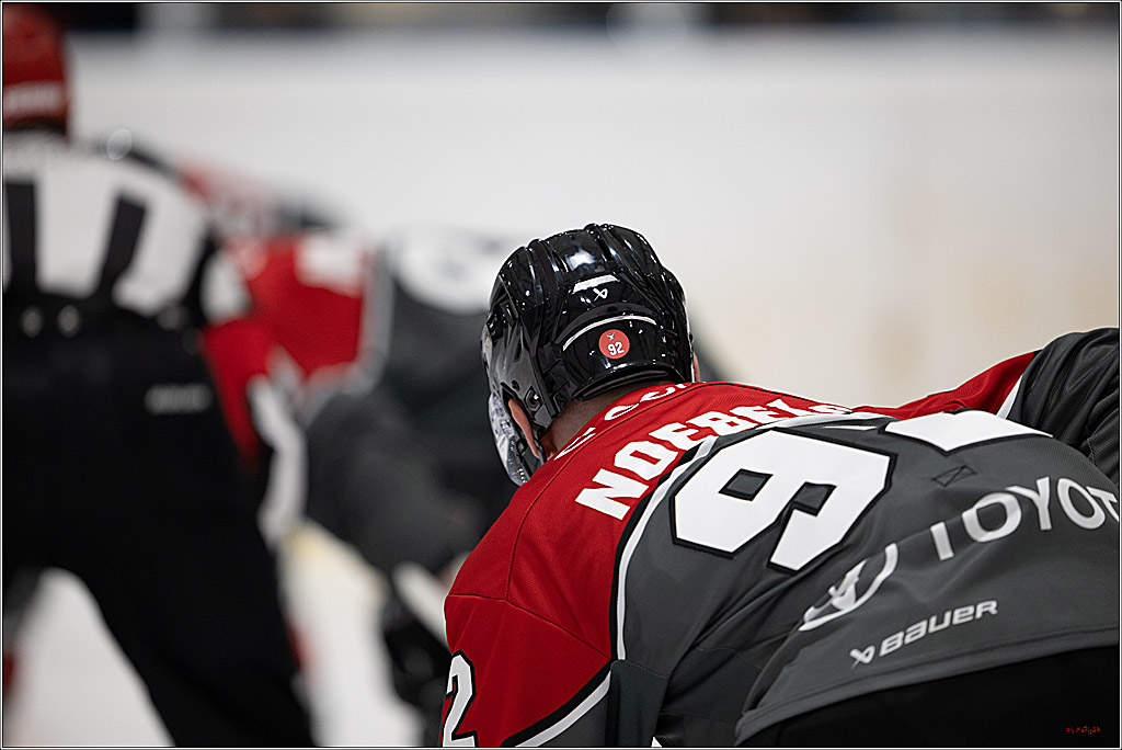 PENNY DEL 1; 1. Testspiel Kölner Haie - Iserlohn Roosters; Köln, 14.08.2026