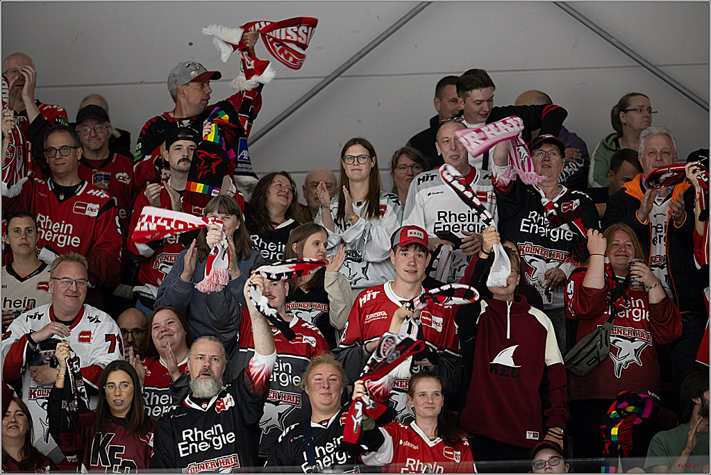 PENNY DEL 1; 1. Testspiel Kölner Haie - Iserlohn Roosters; Köln, 14.08.2026