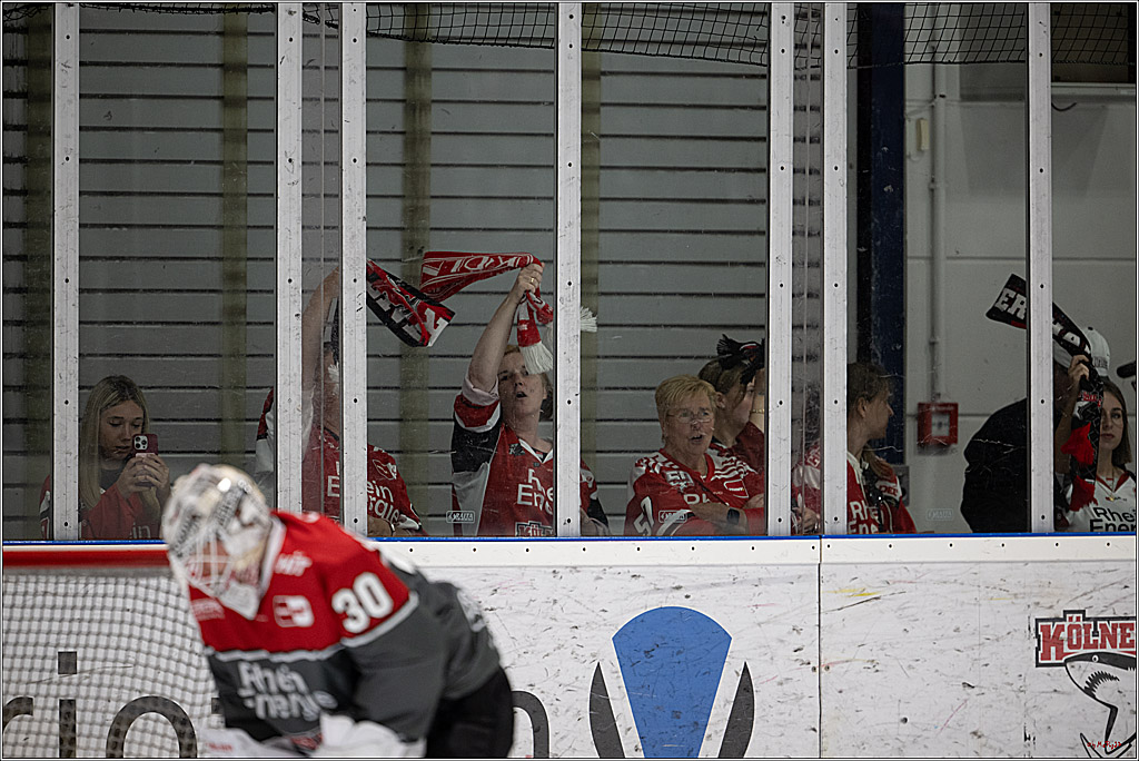 PENNY DEL 1; 1. Testspiel Kölner Haie - Iserlohn Roosters; Köln, 14.08.2026