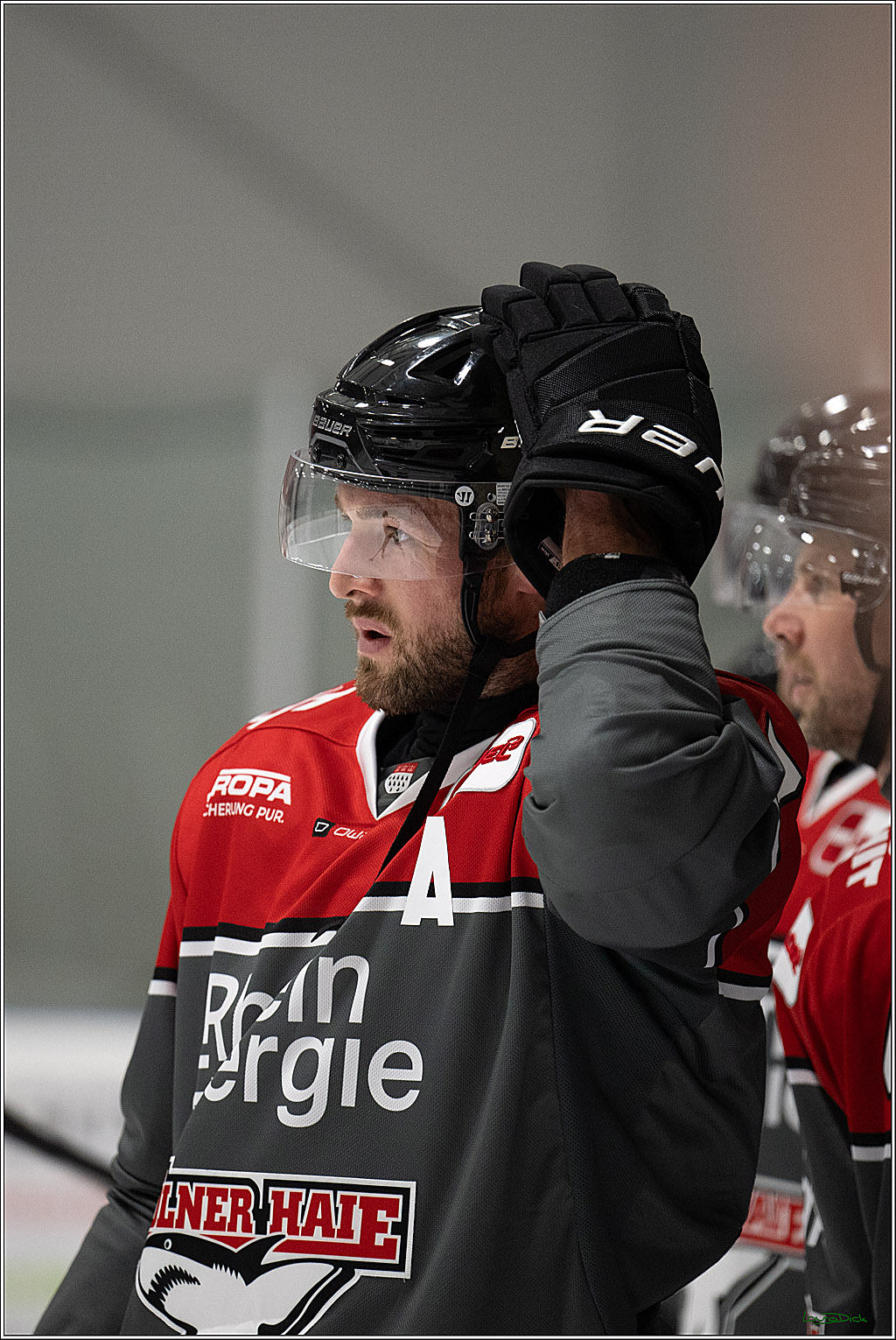 PENNY DEL 1; 1. Testspiel Kölner Haie - Iserlohn Roosters; Köln, 14.08.2026
