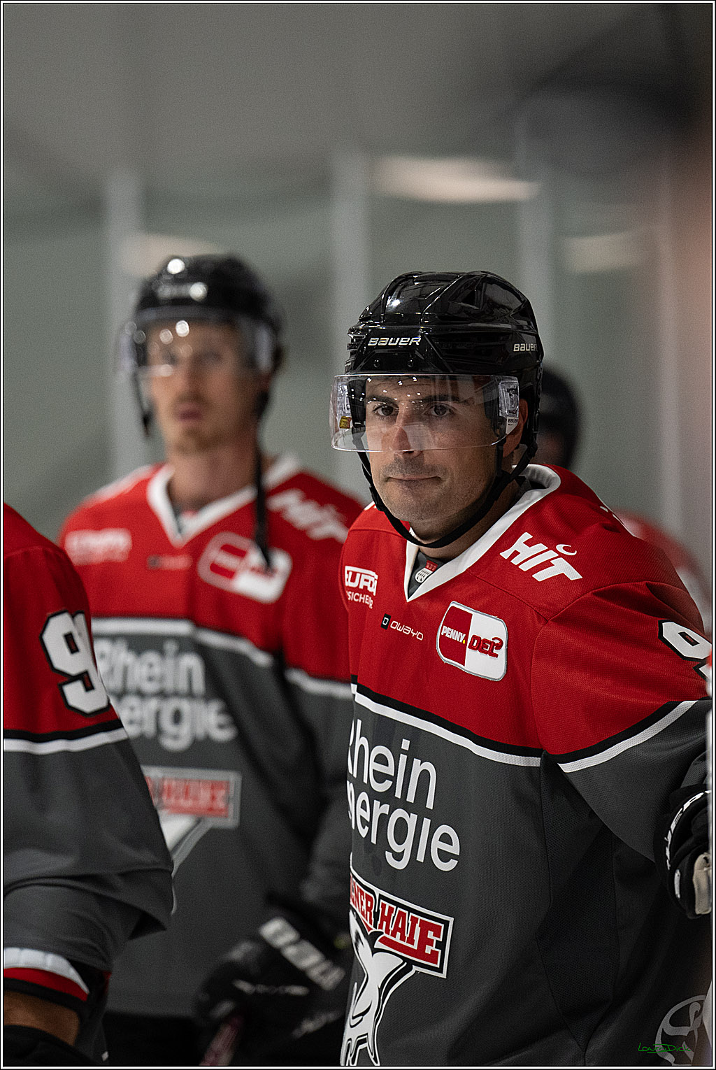PENNY DEL 1; 1. Testspiel Kölner Haie - Iserlohn Roosters; Köln, 14.08.2026