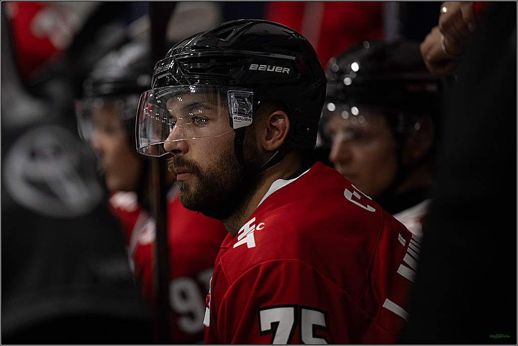 PENNY DEL 1; 1. Testspiel Kölner Haie - Iserlohn Roosters; Köln, 14.08.2026