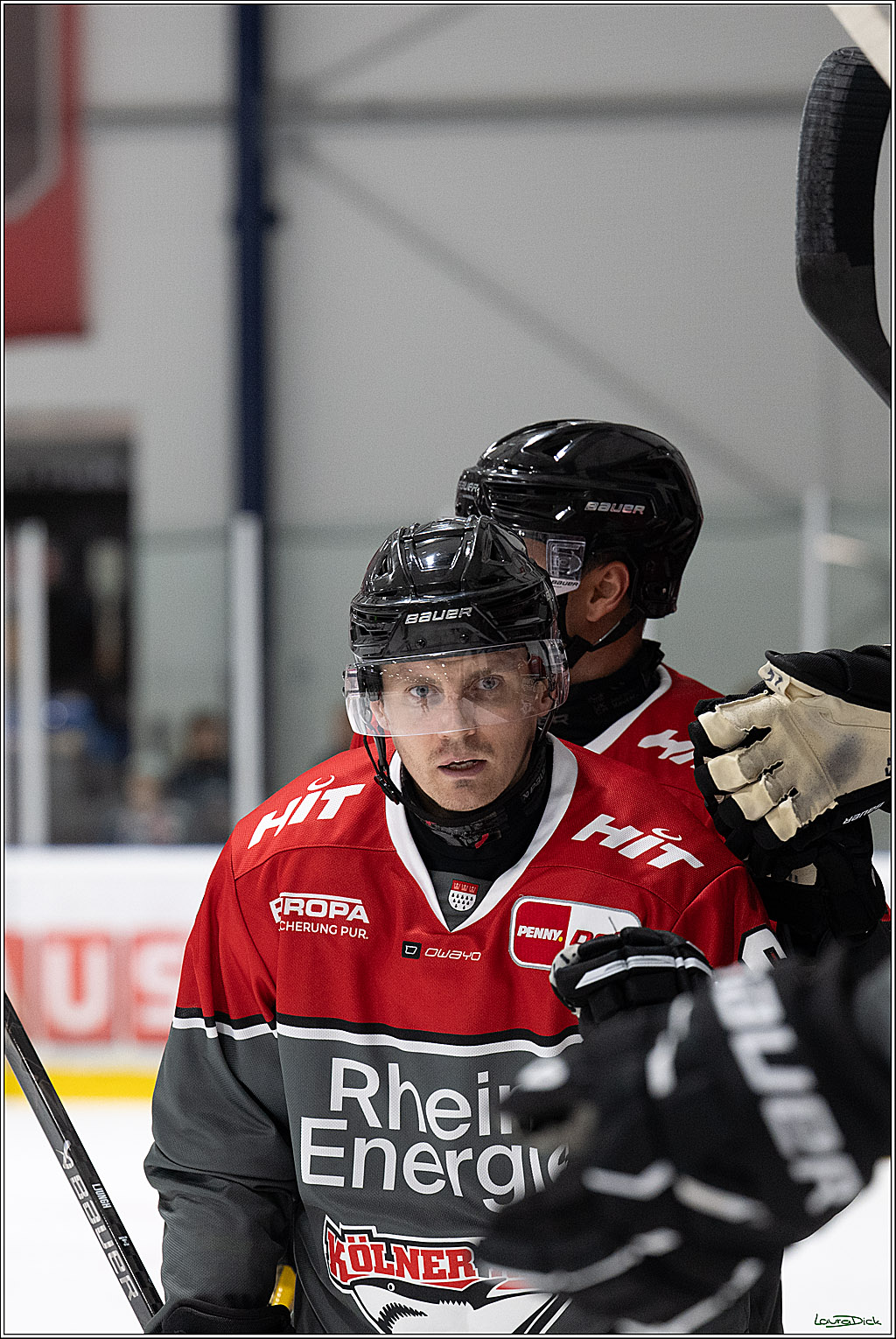 PENNY DEL 1; 1. Testspiel Kölner Haie - Löwen Frankfurt; Köln, 28.08.2026
