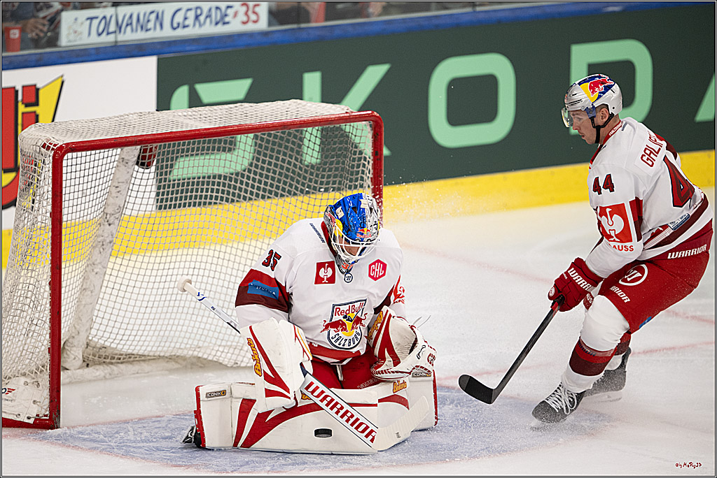 CHL Vorrunde - Red Bull Salzburg - Kölner Haie; Salzburg, 03.09.2026