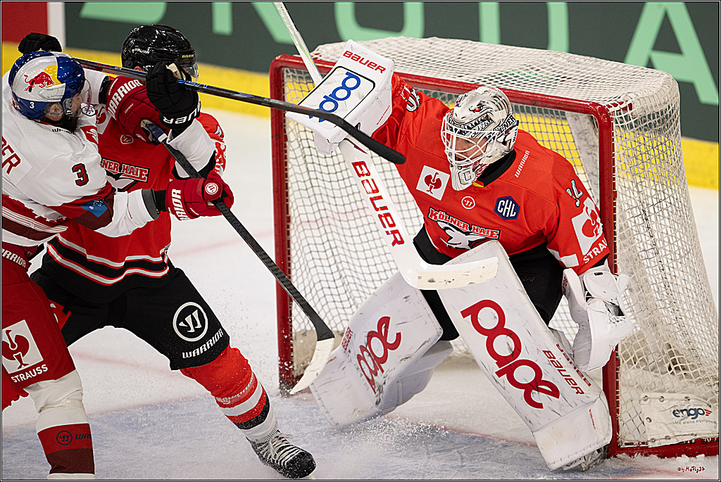 CHL Vorrunde - Red Bull Salzburg - Kölner Haie; Salzburg, 03.09.2026