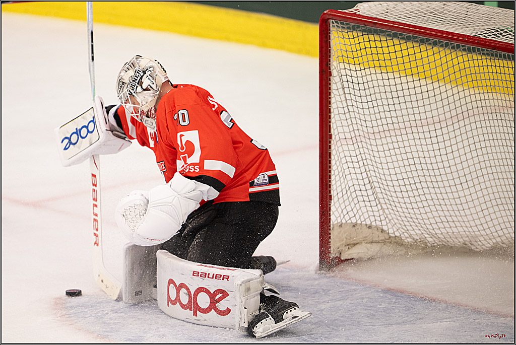 CHL Vorrunde - Red Bull Salzburg - Kölner Haie; Salzburg, 03.09.2026