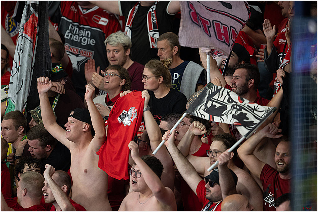 CHL Vorrunde - Red Bull Salzburg - Kölner Haie; Salzburg, 03.09.2026