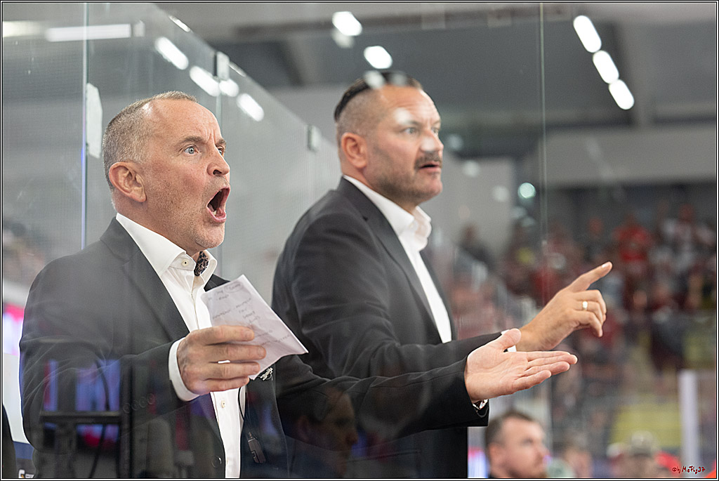 CHL Vorrunde - Red Bull Salzburg - Kölner Haie; Salzburg, 03.09.2026