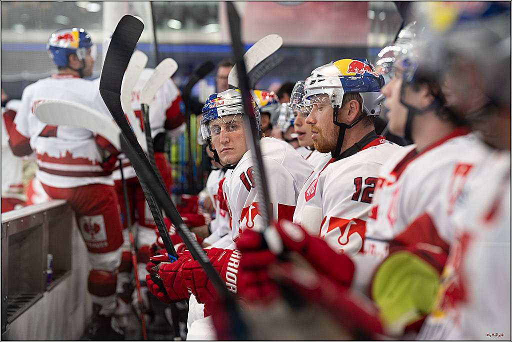 CHL Vorrunde - Red Bull Salzburg - Kölner Haie; Salzburg, 03.09.2026
