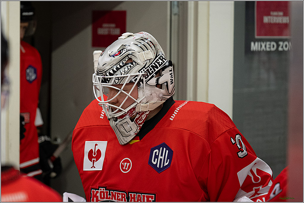 CHL Vorrunde - Red Bull Salzburg - Kölner Haie; Salzburg, 03.09.2026