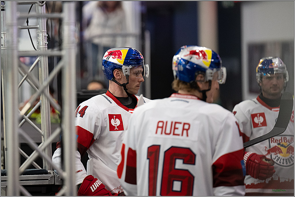 CHL Vorrunde - Red Bull Salzburg - Kölner Haie; Salzburg, 03.09.2026