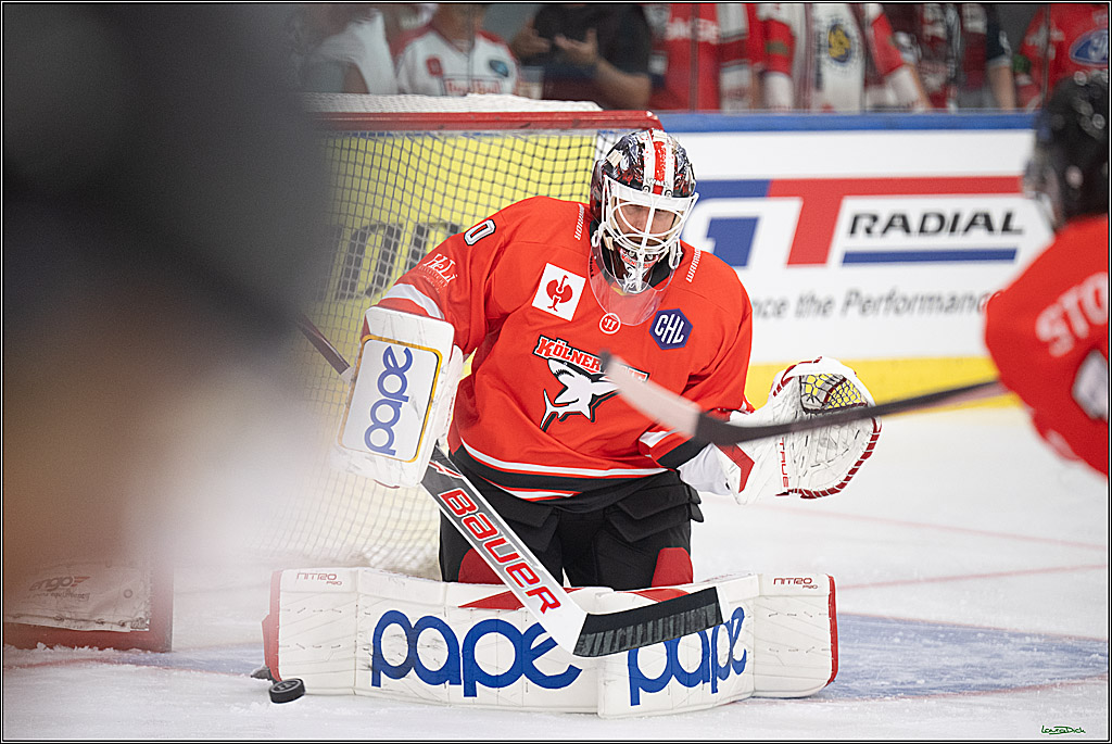 CHL Vorrunde - Red Bull Salzburg - Kölner Haie; Salzburg, 03.09.2026