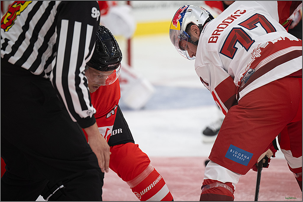 CHL Vorrunde - Red Bull Salzburg - Kölner Haie; Salzburg, 03.09.2026