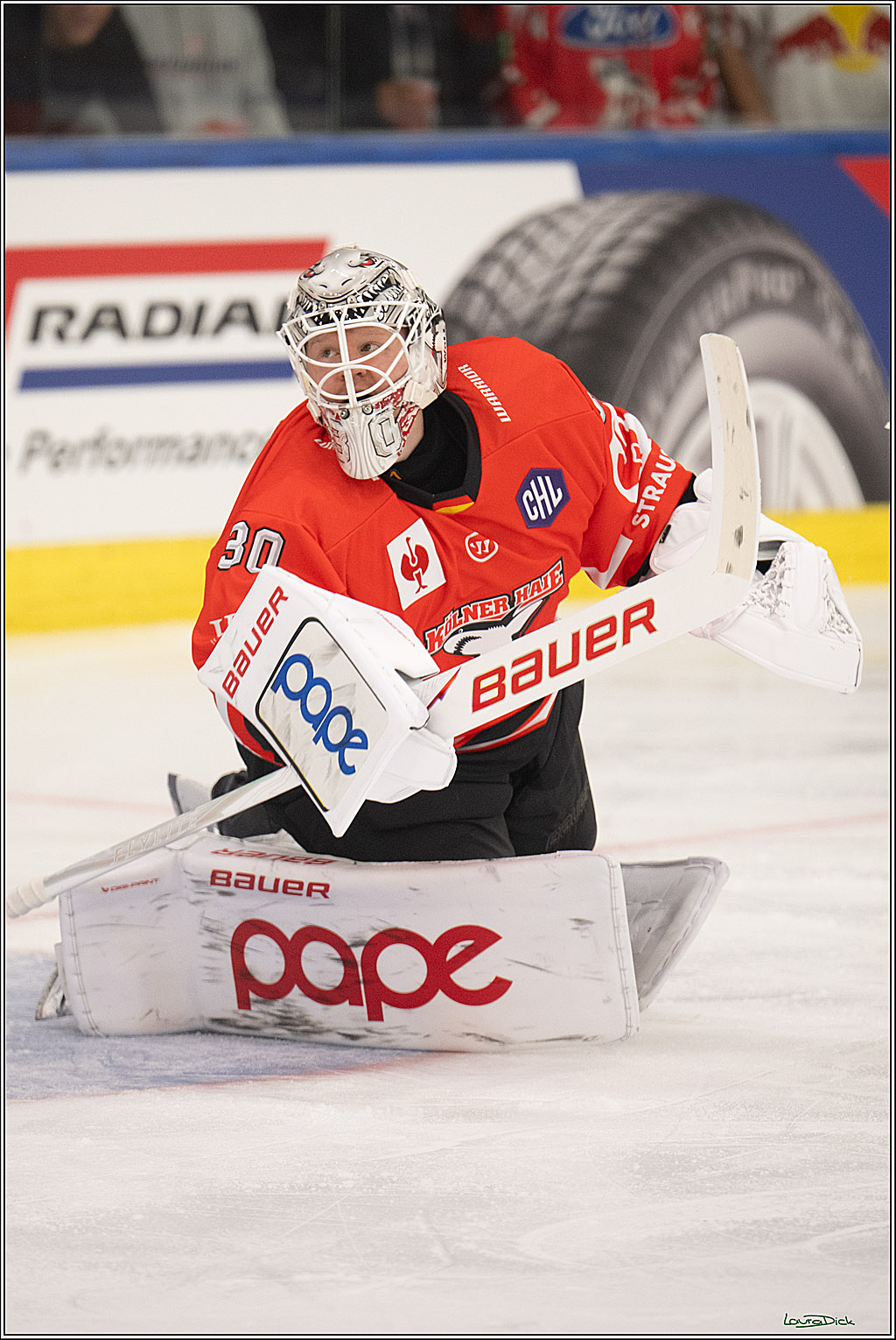 CHL Vorrunde - Red Bull Salzburg - Kölner Haie; Salzburg, 03.09.2026