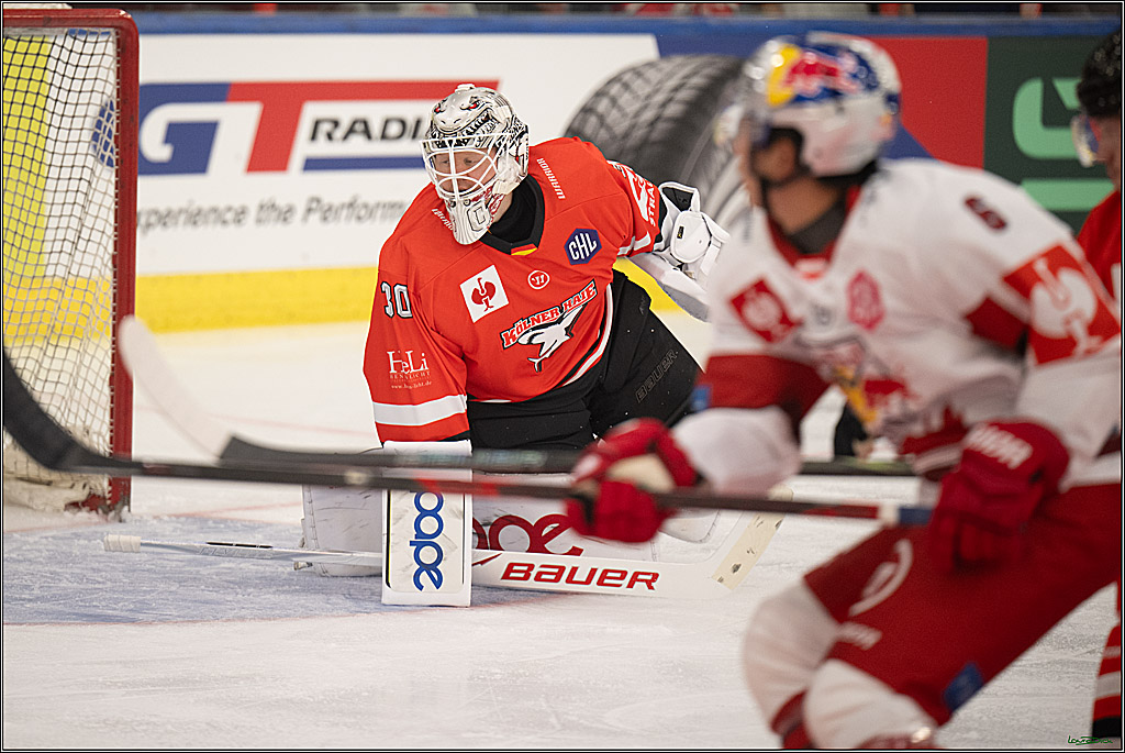 CHL Vorrunde - Red Bull Salzburg - Kölner Haie; Salzburg, 03.09.2026