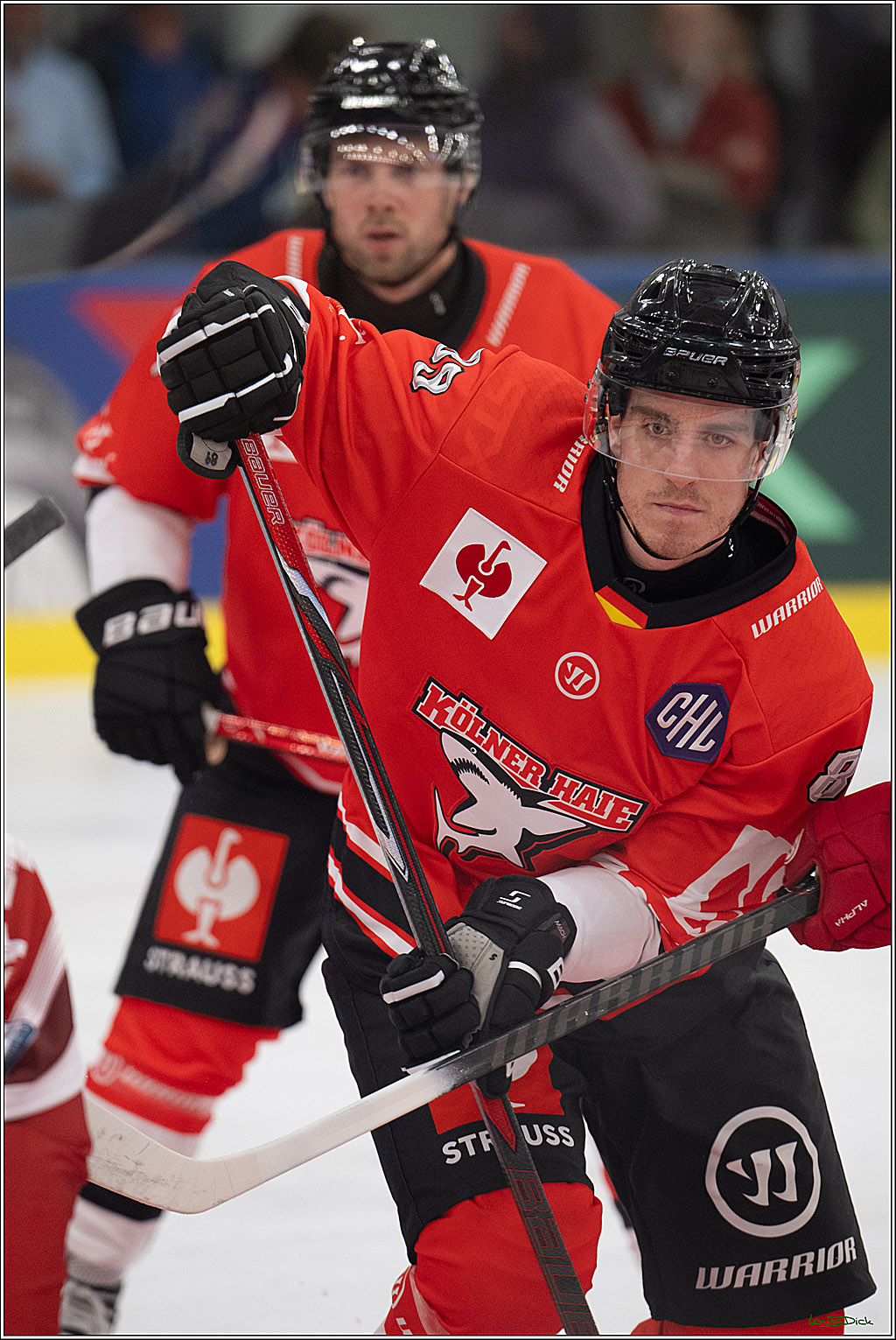 CHL Vorrunde - Red Bull Salzburg - Kölner Haie; Salzburg, 03.09.2026