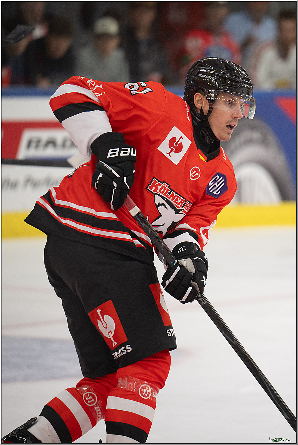 CHL Vorrunde - Red Bull Salzburg - Kölner Haie; Salzburg, 03.09.2026