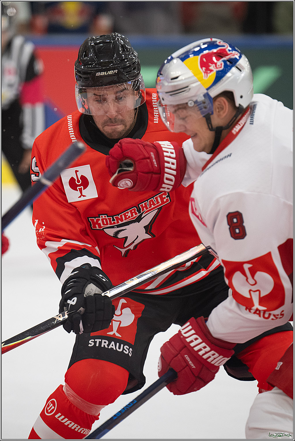 CHL Vorrunde - Red Bull Salzburg - Kölner Haie; Salzburg, 03.09.2026