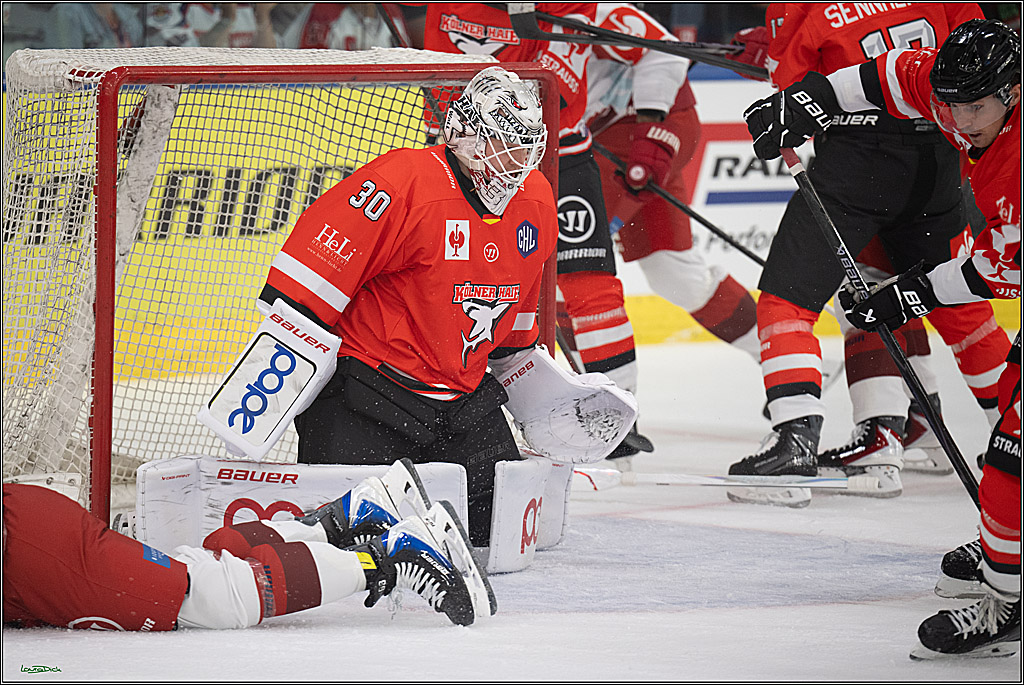CHL Vorrunde - Red Bull Salzburg - Kölner Haie; Salzburg, 03.09.2026