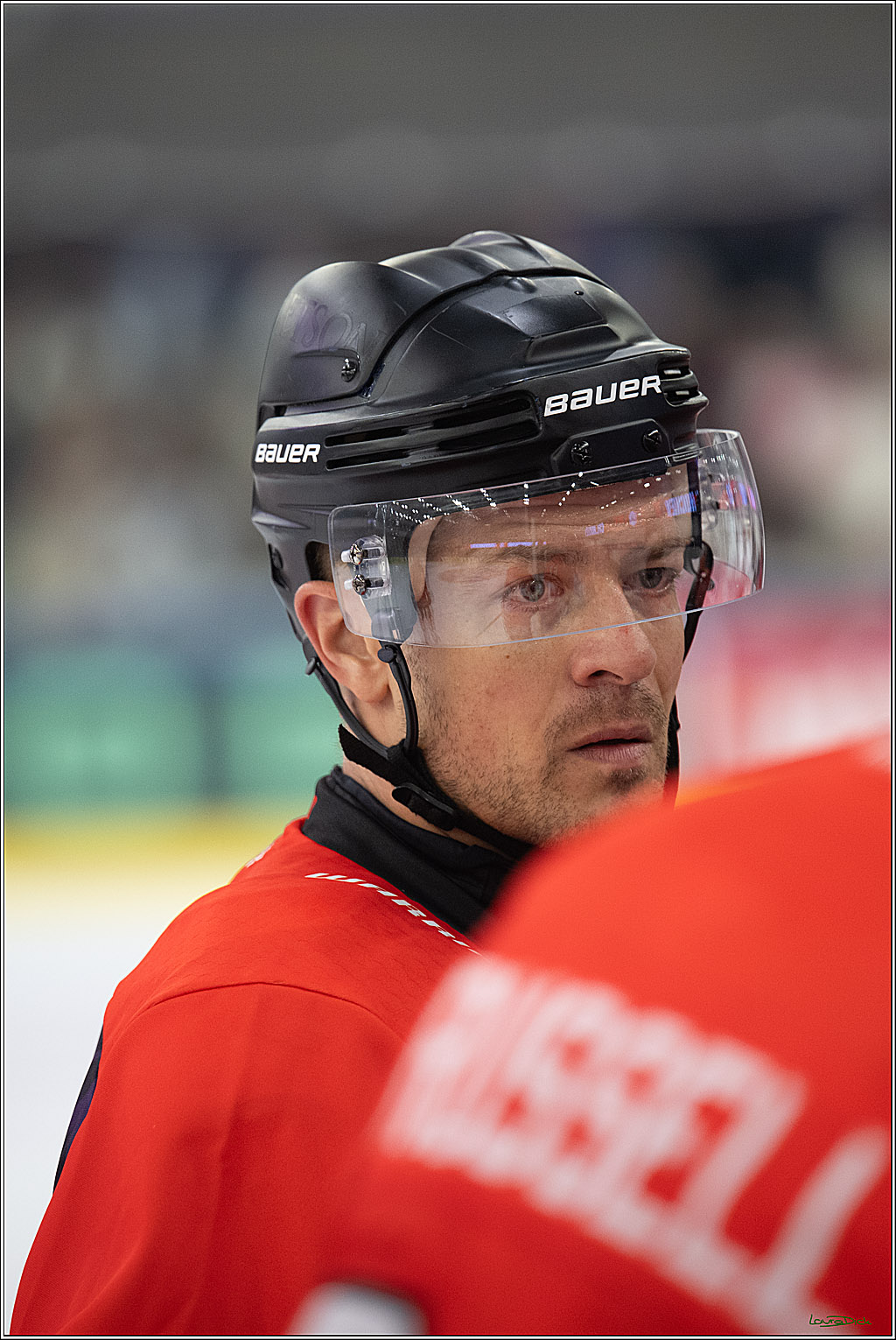 CHL Vorrunde - Red Bull Salzburg - Kölner Haie; Salzburg, 03.09.2026
