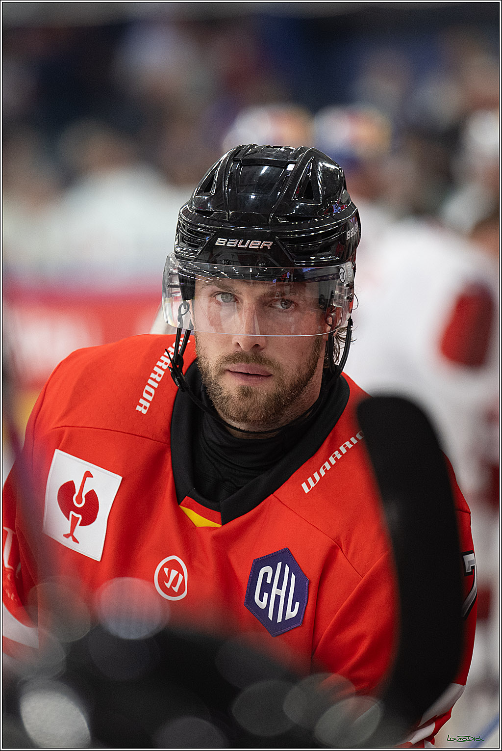 CHL Vorrunde - Red Bull Salzburg - Kölner Haie; Salzburg, 03.09.2026