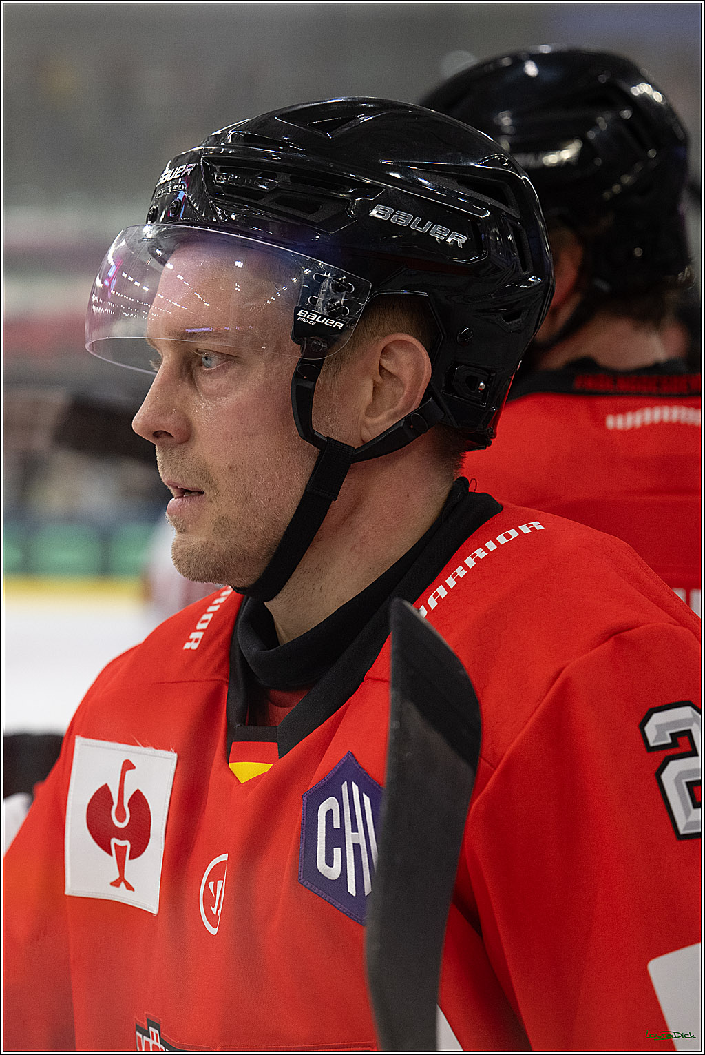 CHL Vorrunde - Red Bull Salzburg - Kölner Haie; Salzburg, 03.09.2026
