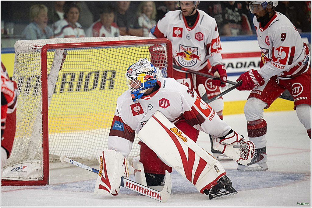 CHL Vorrunde - Red Bull Salzburg - Kölner Haie; Salzburg, 03.09.2026