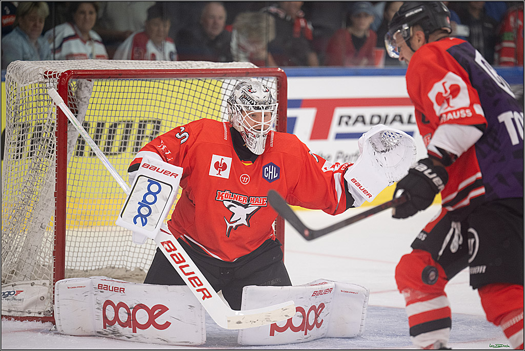 CHL Vorrunde - Red Bull Salzburg - Kölner Haie; Salzburg, 03.09.2026