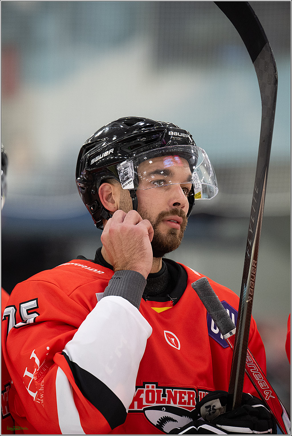 CHL Vorrunde - Red Bull Salzburg - Kölner Haie; Salzburg, 03.09.2026
