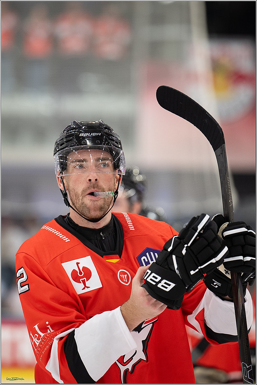 CHL Vorrunde - Red Bull Salzburg - Kölner Haie; Salzburg, 03.09.2026