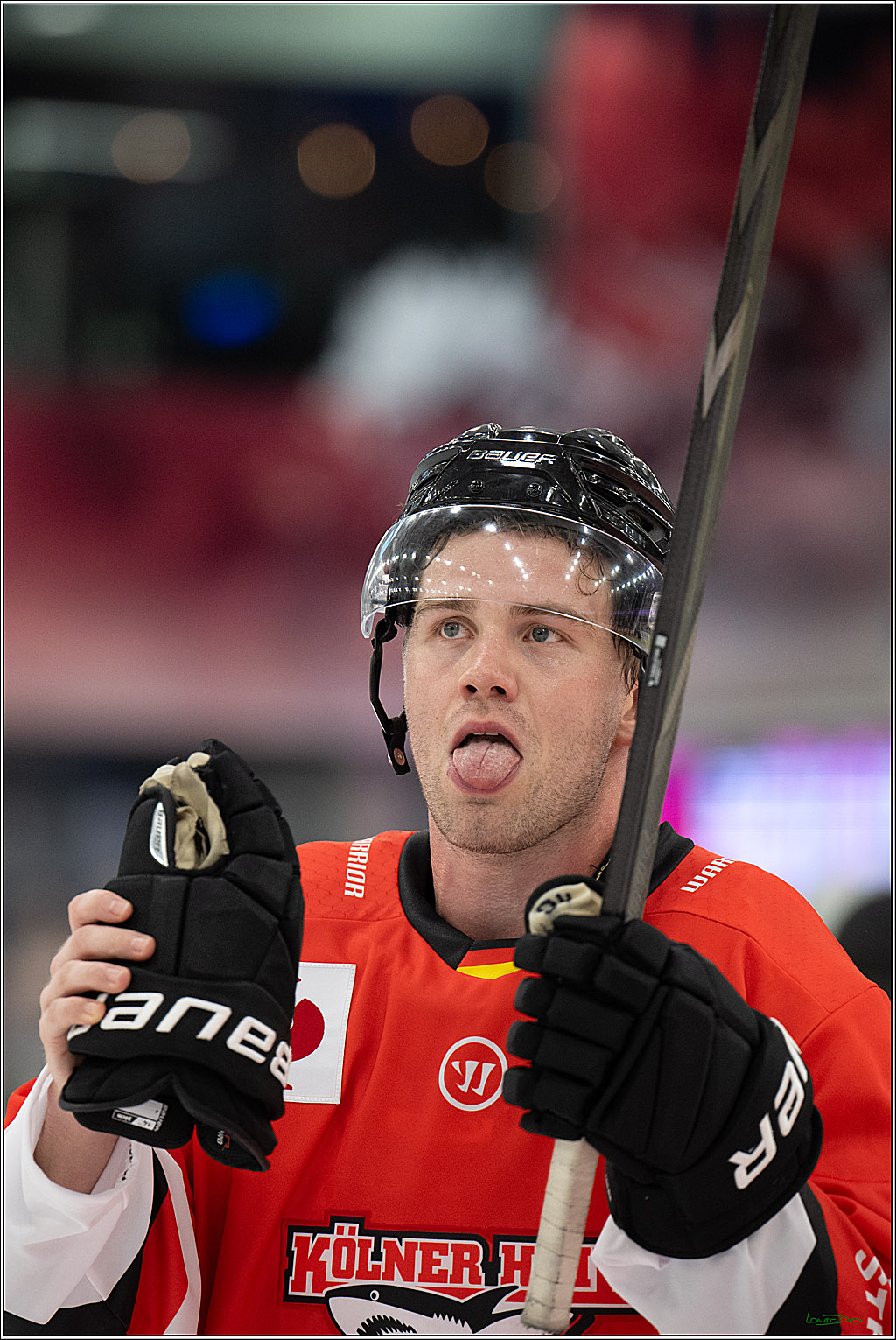 CHL Vorrunde - Red Bull Salzburg - Kölner Haie; Salzburg, 03.09.2026